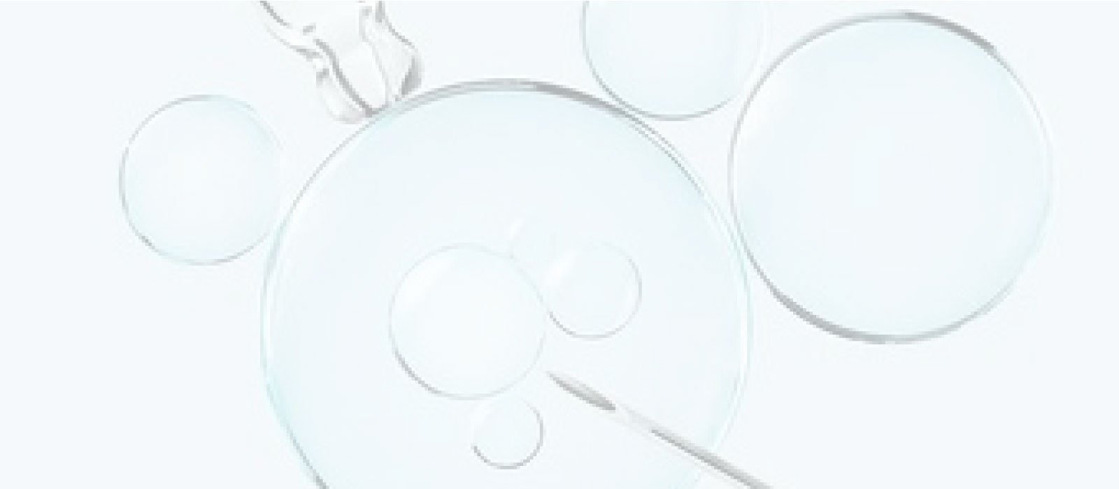 Image hover effect image